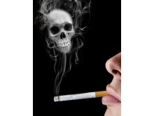 烟草检测标准物质