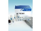 人免疫抑制酸性蛋白(IAP)ELISAKit